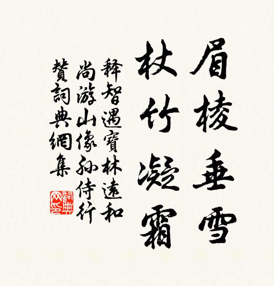 释智遇眉棱垂雪，杖竹凝霜书法作品欣赏