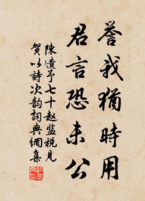 陈造誉我犹时用，君言恐未公书法作品欣赏