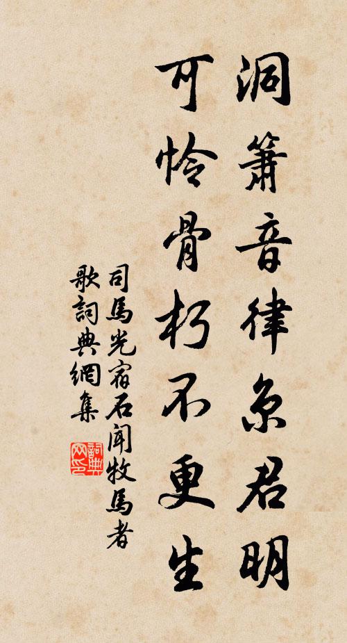 司马光洞箫音律京君明，可怜骨朽不更生书法作品欣赏