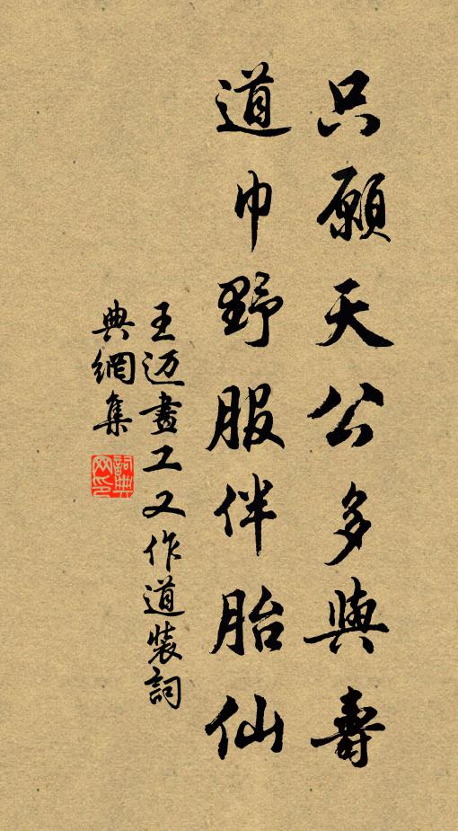 王迈只愿天公多与寿，道巾野服伴胎仙书法作品欣赏