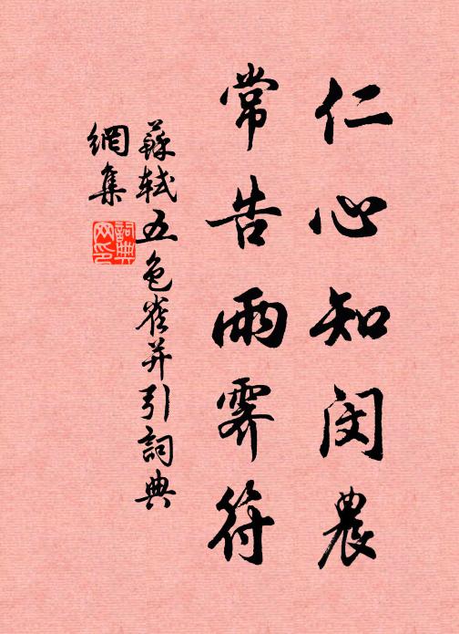 苏轼仁心知闵农，常告雨霁符书法作品欣赏