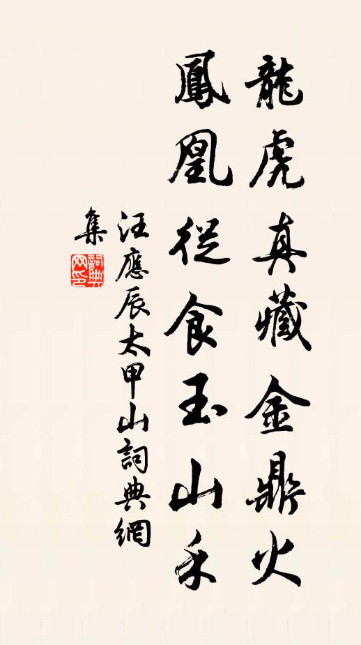 汪应辰龙虎真藏金鼎火，凤凰从食玉山禾书法作品欣赏