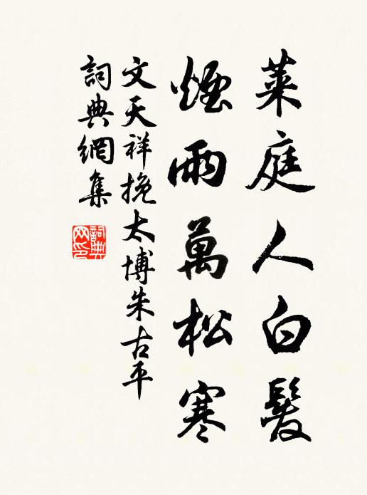 文天祥莱庭人白发，烟雨万松寒书法作品欣赏