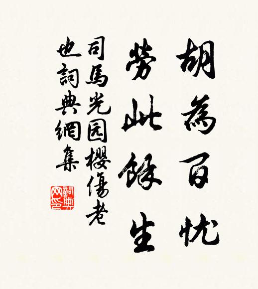 司马光胡为百忧，劳此余生书法作品欣赏