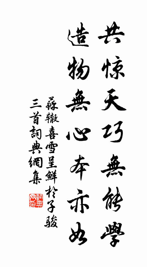 苏辙共惊天巧无能学，造物无心本亦如书法作品欣赏