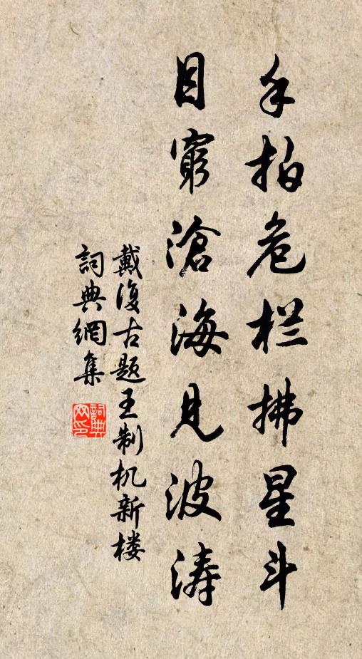 戴复古手拍危栏拂星斗，目穷沧海见波涛书法作品欣赏