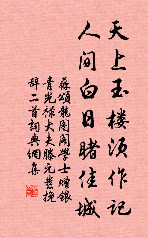 苏颂天上玉楼须作记，人间白日睹佳城书法作品欣赏