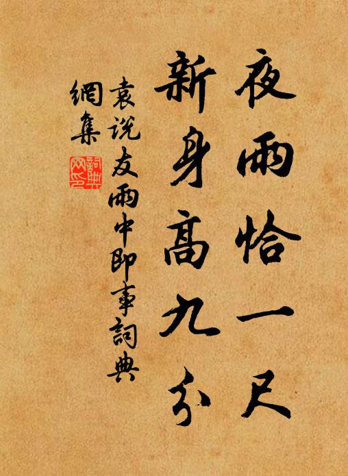 袁说友夜雨恰一尺，新身高九分书法作品欣赏