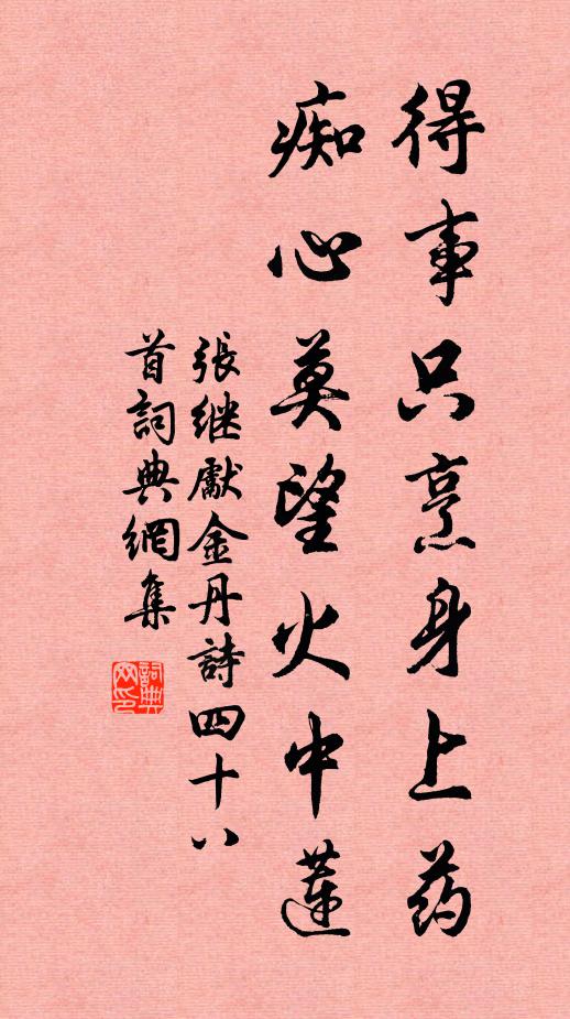 张继先得事只烹身上药，痴心莫望火中莲书法作品欣赏