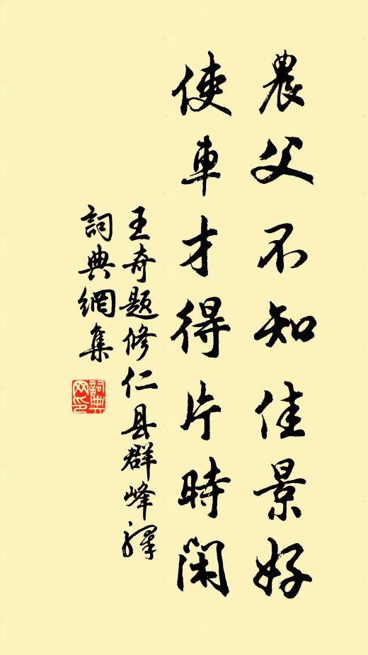 王奇农父不知佳景好，使车才得片时闲书法作品欣赏