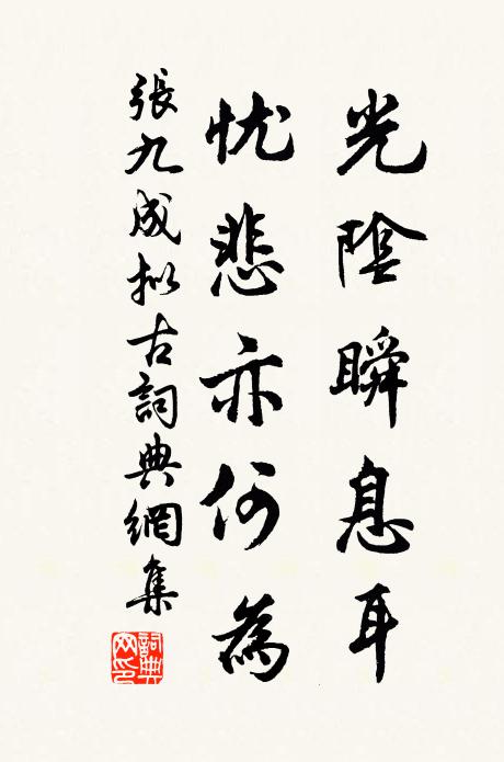 张九成光阴瞬息耳，忧悲亦何为书法作品欣赏
