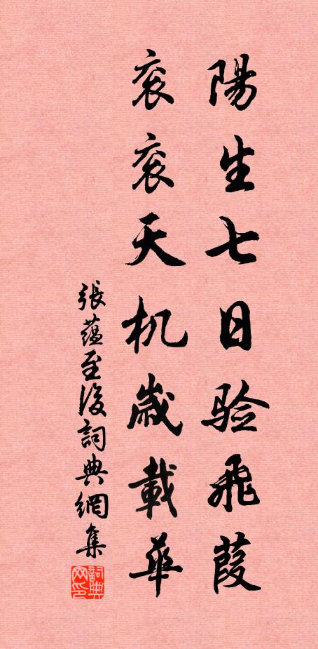 张蕴阳生七日验飞葭，衮衮天机岁载华书法作品欣赏