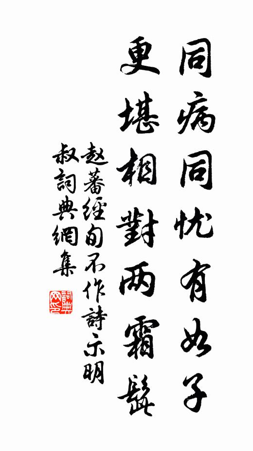 赵蕃同病同忧有如子，更堪相对两霜髭书法作品欣赏