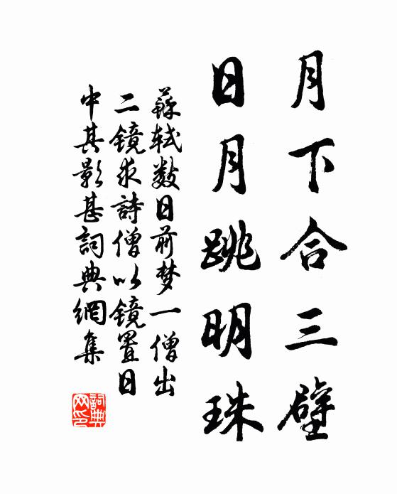 苏轼月下合三壁，日月跳明珠书法作品欣赏