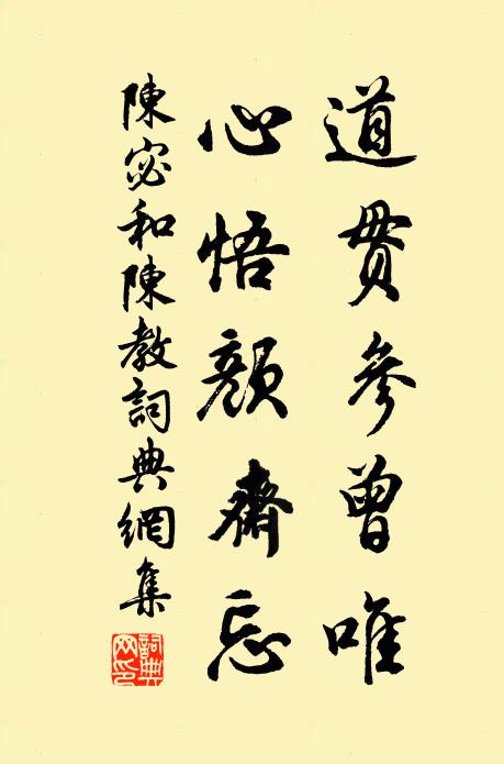 陈宓道贯参曾唯,心悟颜斋忘书法作品欣赏