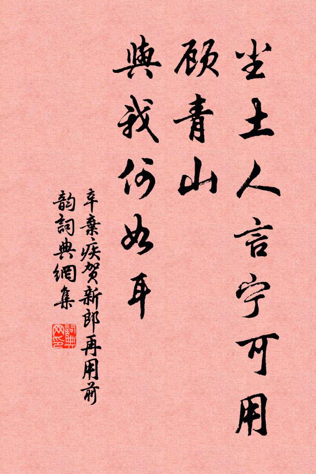 辛弃疾尘土人言宁可用，顾青山、与我何如耳书法作品欣赏