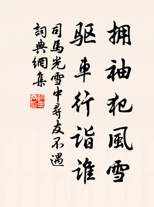 司马光拥袖犯风雪，驱车行诣谁书法作品欣赏