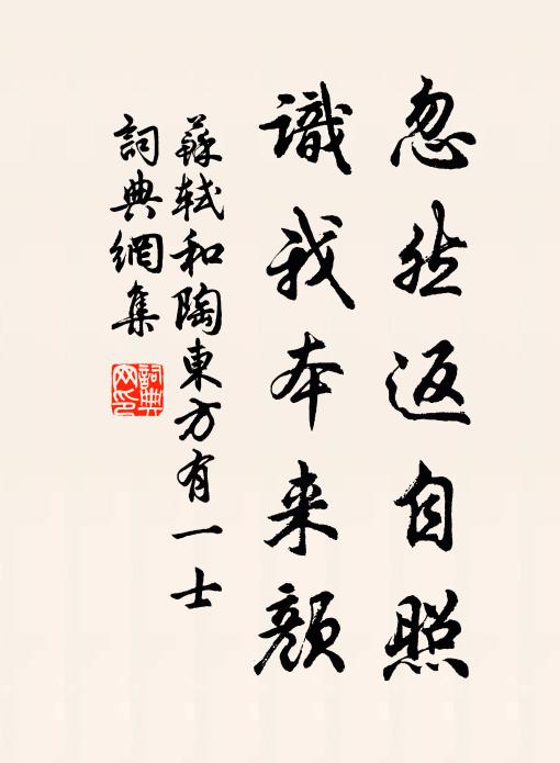 苏轼忽然返自照，识我本来颜书法作品欣赏