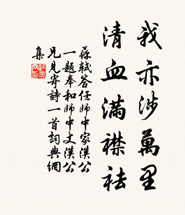 苏轼我亦涉万里，清血满襟祛书法作品欣赏