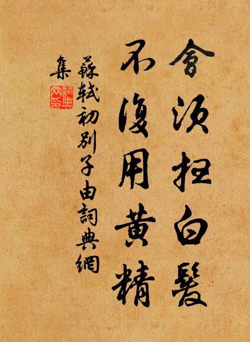 苏轼会须扫白发，不复用黄精书法作品欣赏