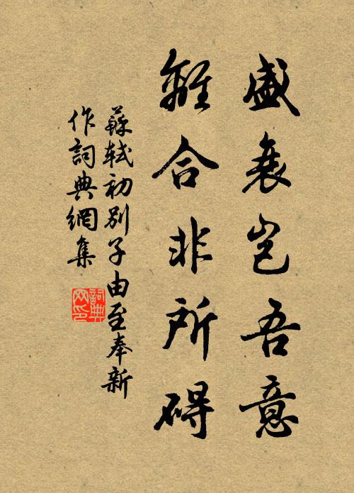 苏轼盛衰岂吾意，离合非所碍书法作品欣赏