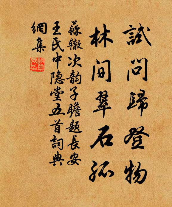 苏辙试问归登物，林间翠石孤书法作品欣赏