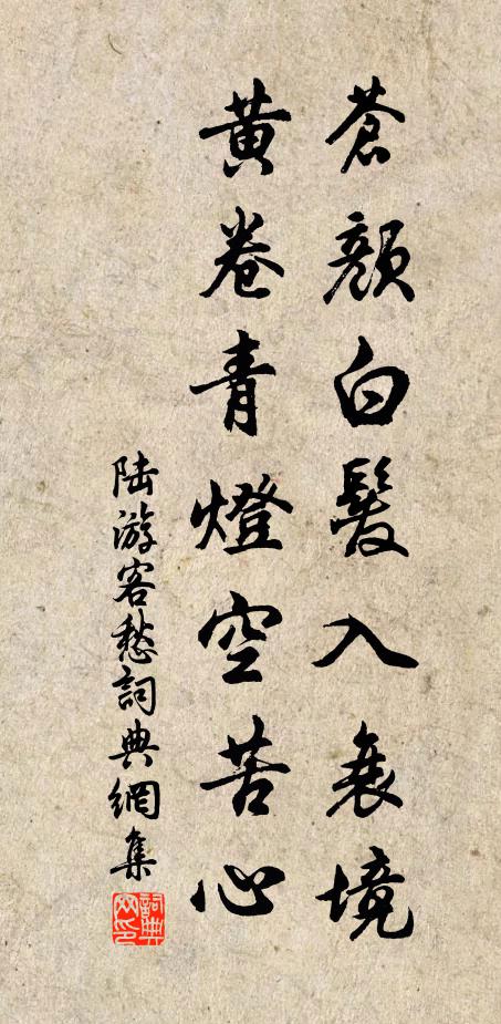 陆游苍颜白发入衰境，黄卷青灯空苦心书法作品欣赏