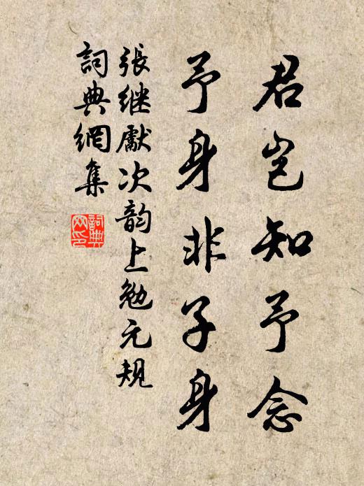 张继先君岂知予念，予身非子身书法作品欣赏