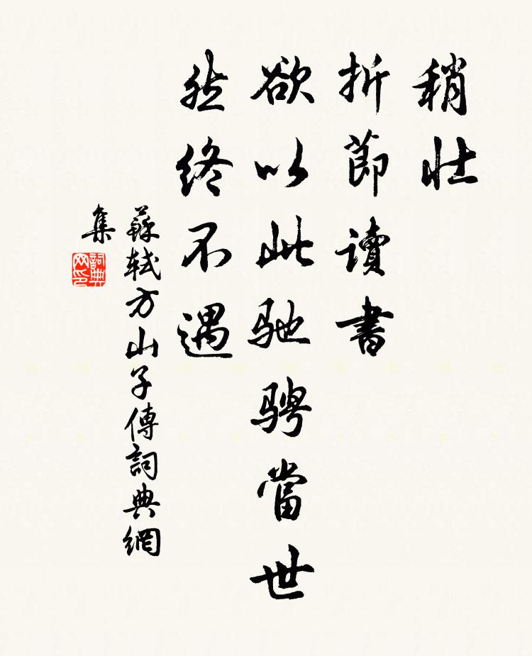 苏轼稍壮，折节读书，欲以此驰骋当世，然终不遇书法作品欣赏