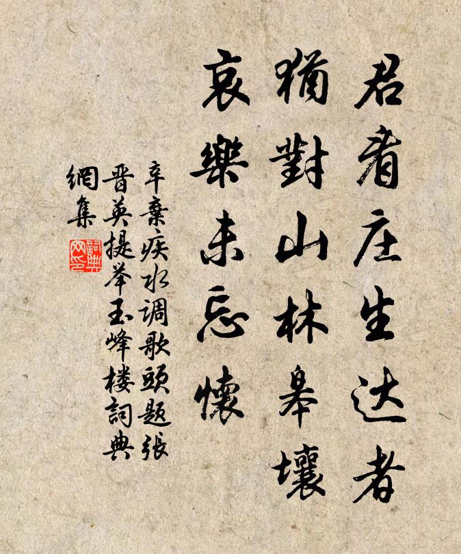 辛弃疾君看庄生达者，犹对山林皋壤，哀乐未忘怀书法作品欣赏
