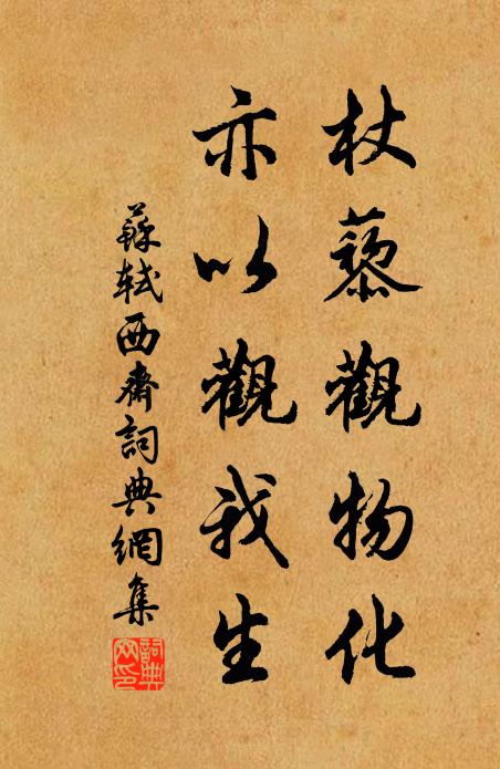 苏轼杖藜观物化，亦以观我生书法作品欣赏