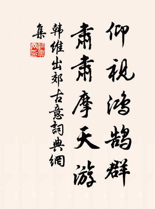 韩维仰视鸿鹄群，肃肃摩天游书法作品欣赏
