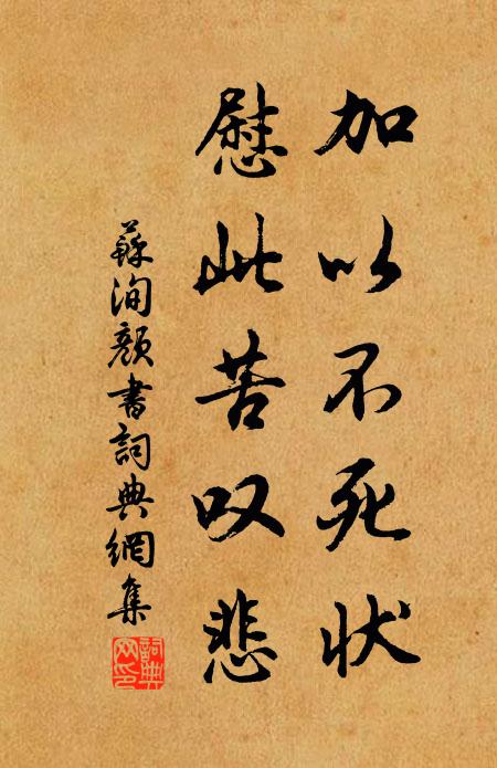 苏洵加以不死状,慰此苦叹悲书法作品欣赏