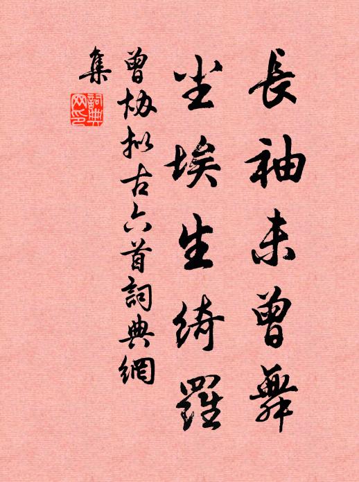 曾协长袖未曾舞，尘埃生绮罗书法作品欣赏