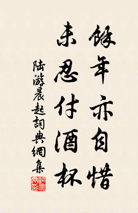 陆游余年亦自惜，未忍付酒杯书法作品欣赏