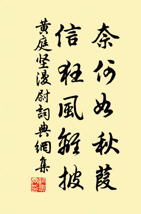 黄庭坚奈何如秋葭，信狂风离披书法作品欣赏