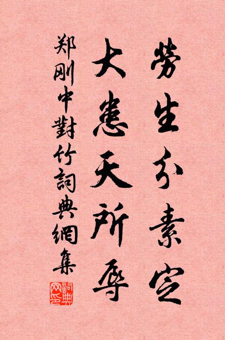 郑刚中劳生分素定，大患天所辱书法作品欣赏