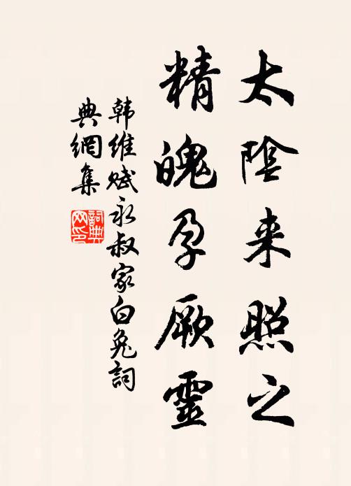 韩维太阴来照之，精魄孕厥灵书法作品欣赏