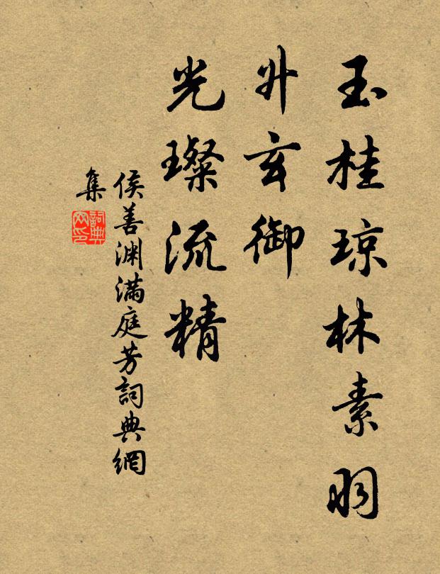侯善渊玉桂琼林素羽，升玄御、光璨流精书法作品欣赏