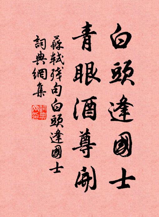 苏轼白头逢国士，青眼酒尊开。书法作品欣赏