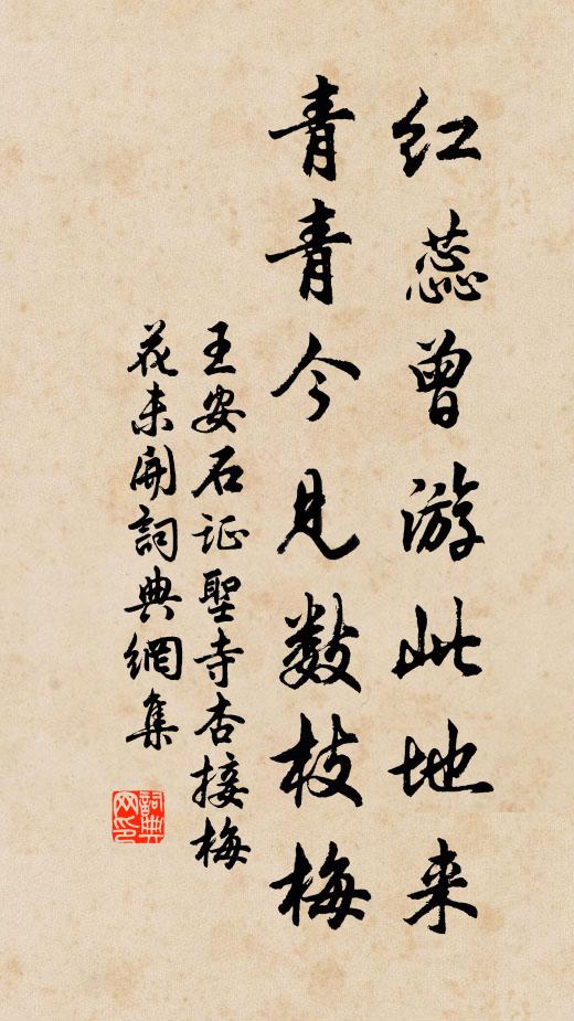 王安石红蕊曾游此地来，青青今见数枝梅书法作品欣赏