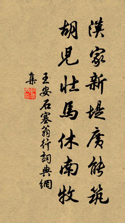 王安石汉家新堤广能筑，胡儿壮马休南牧书法作品欣赏
