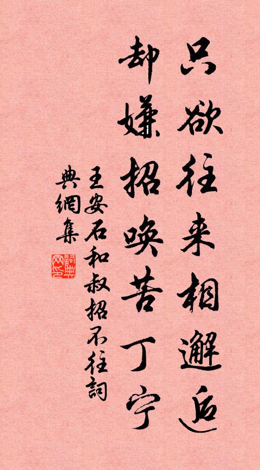 王安石只欲往来相邂逅，却嫌招唤苦丁宁书法作品欣赏