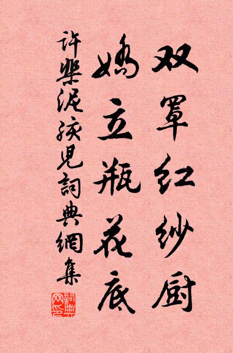 许棐双罩红纱厨，娇立瓶花底书法作品欣赏