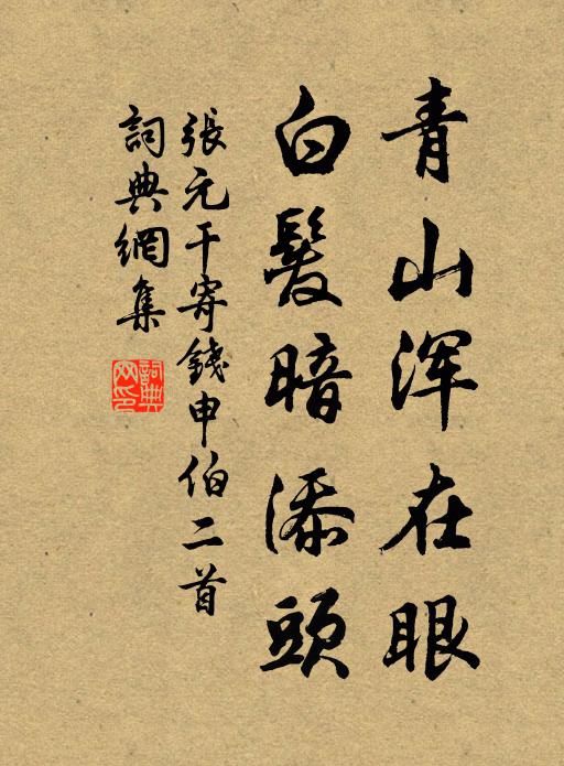张元干青山浑在眼，白发暗添头书法作品欣赏