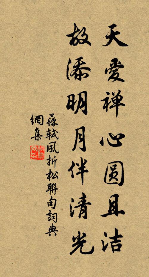 苏轼天爱禅心圆且洁，故添明月伴清光书法作品欣赏