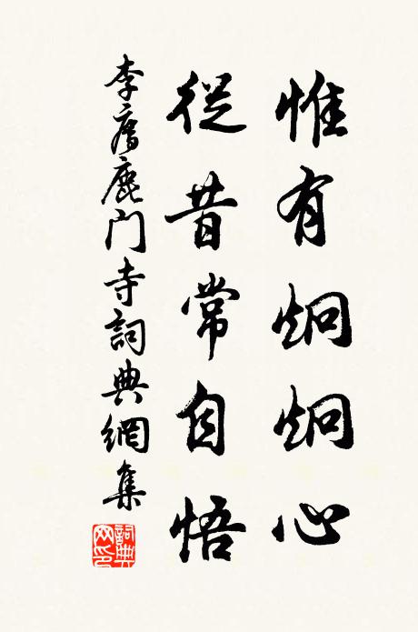 李廌惟有炯炯心,从昔常自悟书法作品欣赏