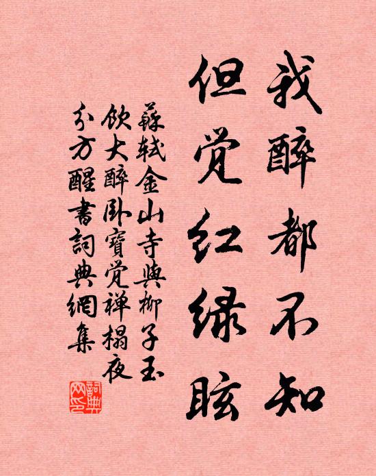 苏轼我醉都不知，但觉红绿眩书法作品欣赏