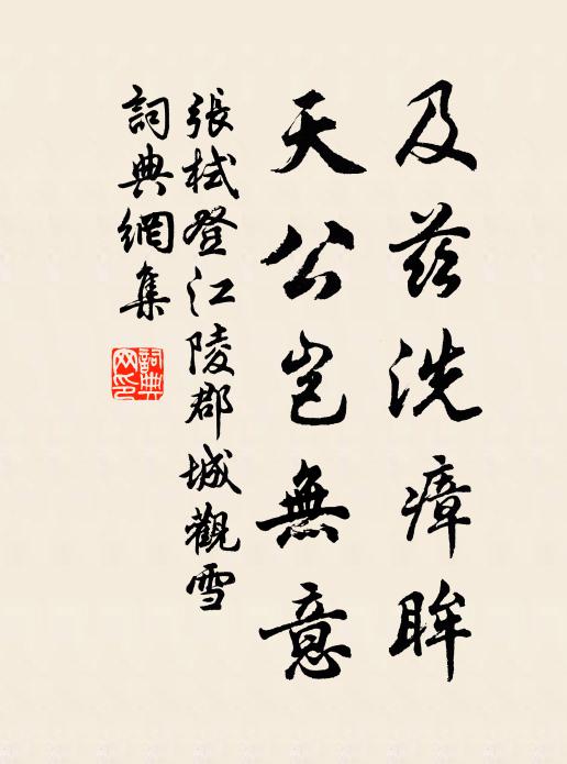 张栻及兹洗瘴眸，天公岂无意书法作品欣赏