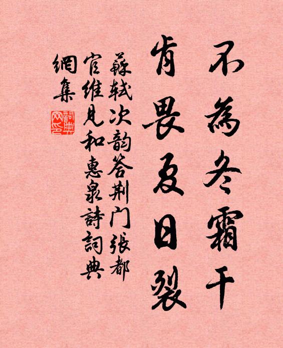 苏轼不为冬霜干，肯畏夏日裂书法作品欣赏
